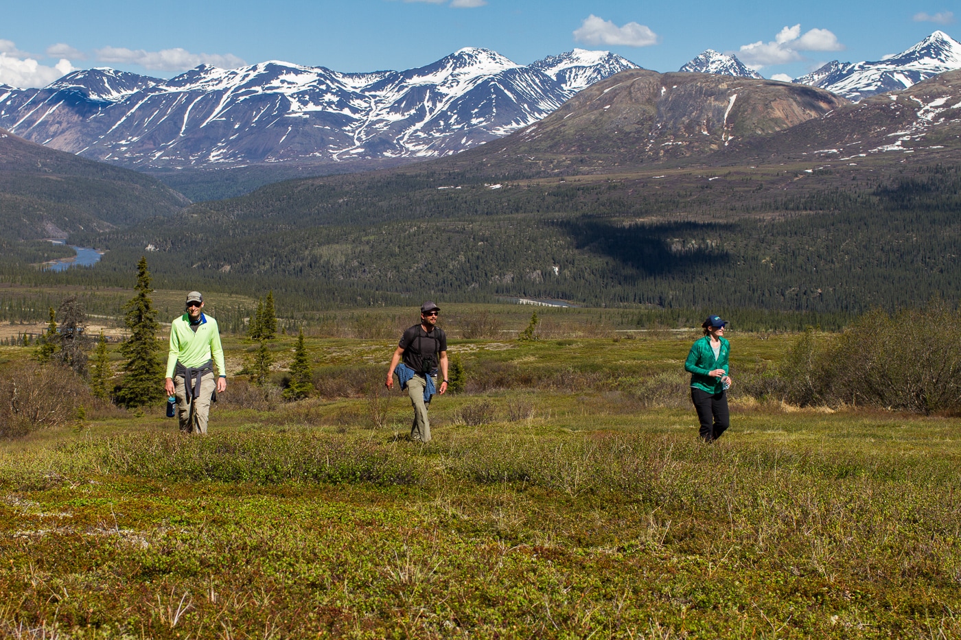 Off trail hiking clearance denali